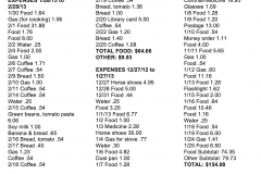 January - February 2013 Expenses $228.67
