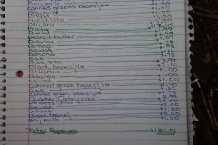 January 2015 Expenses $184