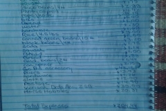 March 2015 Expenses $204