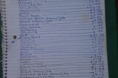 April 2015 Expenses $193