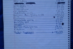 June 2015 Expenses $187