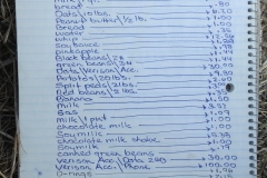 July 2015 Expenses $265