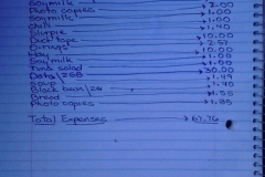 August 2015 Expenses 68