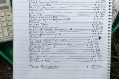 January 2016 Expenses $139