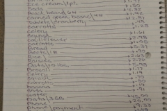 June 2016 Expenses $1004