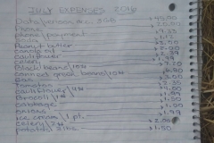 July 2016 Expenses $118