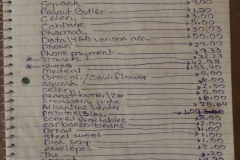 December 2016 Expenses $681