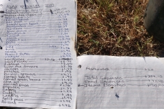 May 2024 Expenses $379.10