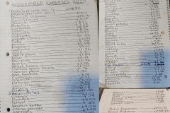 November 2024 Expenses $394.73