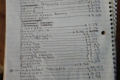 January 2024 Expenses $269.92
