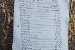 July 2024 Expenses $307.64