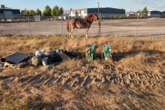 3 Mules Campsite for the night