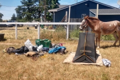 3 Mules Campsite for the night