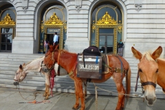 8/27/15 San Francisco