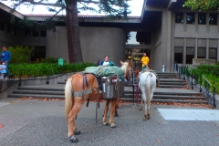 8/29/15 San Carlos
