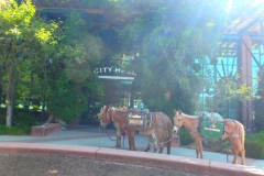 8/30/15 Redwood City