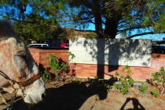 10/20/15 Paso Robles