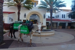 11/28/15 Laguna Hills