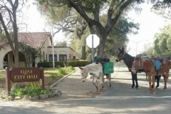 1/27/16 Ojai