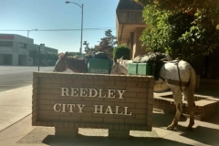 6/22/16 Reedley