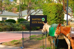 2014 Santee