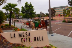 2014 La Mesa