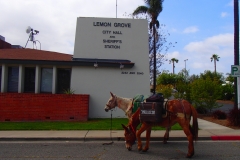 2014 Lemon Grove
