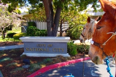2014 National City