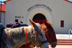 2014 Chula Vista