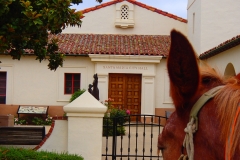 2014 Santa Maria