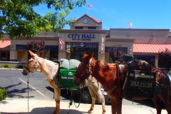 8/5/14 Coalinga
