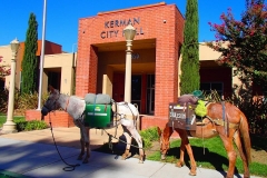 8/18/14 Kerman