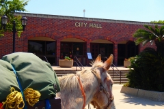 2014 City Hall
