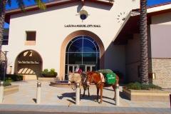 2/3/15 Laguna Niguel