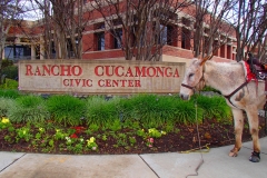 3/2/15 Rancho Cucamonga