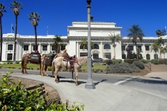 3/27/15 Ventura