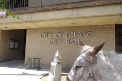 5/1/15 Delano