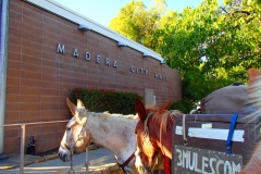 5/21/15 Madera