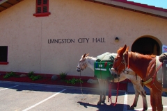 5/25/15 Livingston