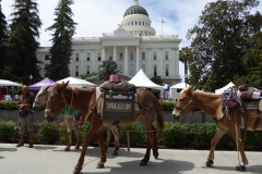 6/18/15 California State Capitol