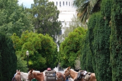 6/18/15 California State Capitol