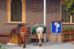 1/11/14 Artesia