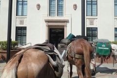 6/25/15 Gridley