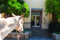 7/28/15 Cloverdale