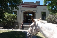 8/3/15 Cotati