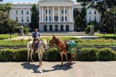 The Mules, Little Girl and Little Ethel, at Sacramento State Capitol