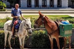 The Mules submitting the government claim form in Sacramento