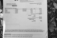 Exhibit 1 Animal Shelter receipt