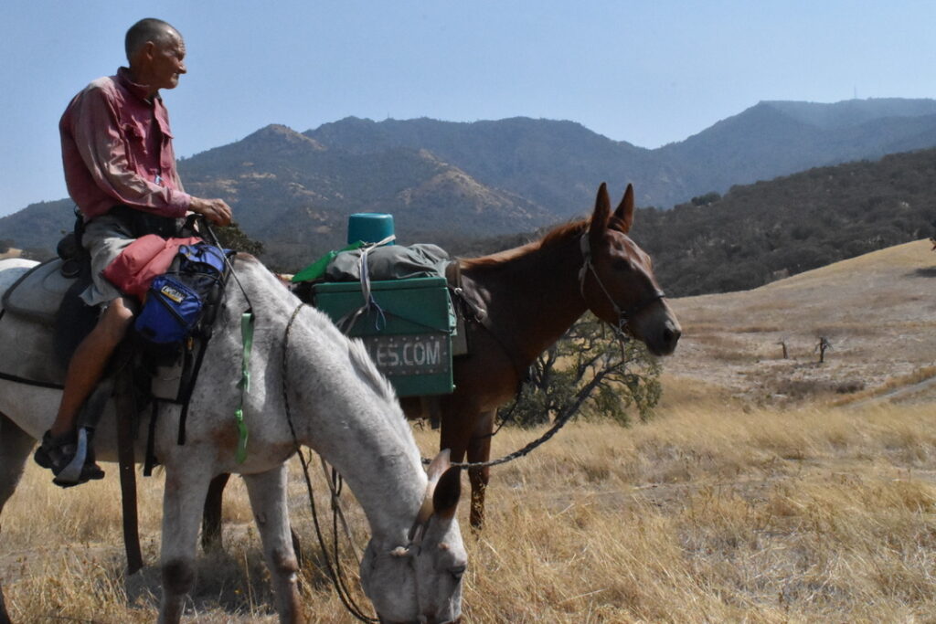 3 Mules at Mount Diablo State Park