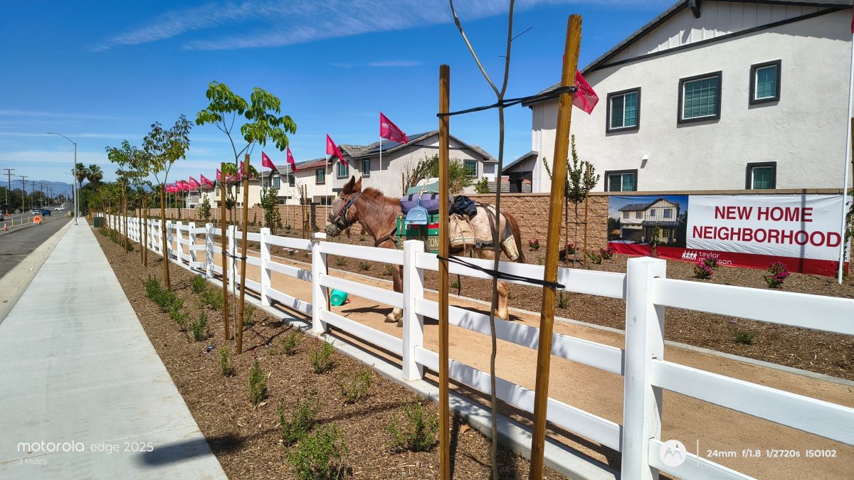 New Home Neighborhood